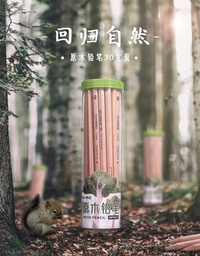 齐心 MP2012 原木铅笔 2B 30支每SET 黑