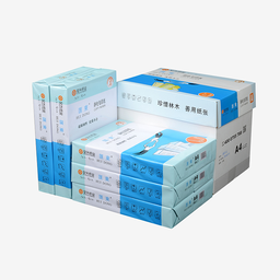 蓝汇东复印  A4 70G   500张/包 5包/箱