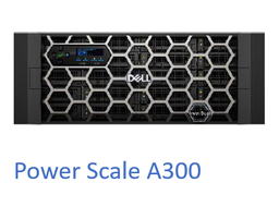 戴尔Dell EMC Power Scale A300(4节点A300,每节点配置96GB内存，1块800GB SSD，15块4TB SATA硬盘，总裸容量为218TiB，可用容量约162TiB；配置SmartConnect负载均衡、SmartQuota配额管理、SmartPool自动分层软件许可；配置2台 S4112F交换机；5年7x24x4原厂维保服务；提供原厂实施服务。)
