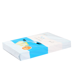 蓝汇东复印  A4 80G  500张/包 5包/箱