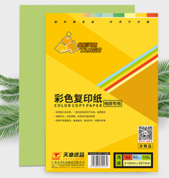 天章(TANGO)金彩天章A4彩色打印纸复印纸80g 浅绿色100张/包